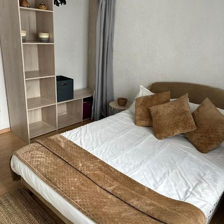 Superbe 4 Pieces Apartment Colmar Bagian luar foto